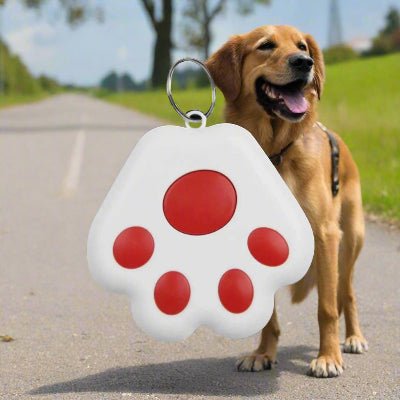 Traceur GPS chien | GipiTag™ - Localisez votre chien en temps réel - Chien en balade