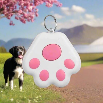 Traceur GPS chien | GipiTag™ - Localisez votre chien en temps réel - Chien en balade