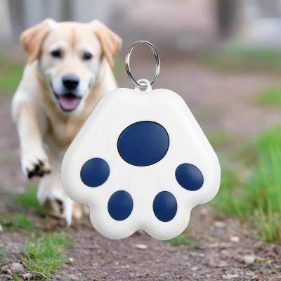 Traceur GPS chien | GipiTag™ - Localisez votre chien en temps réel - Chien en balade