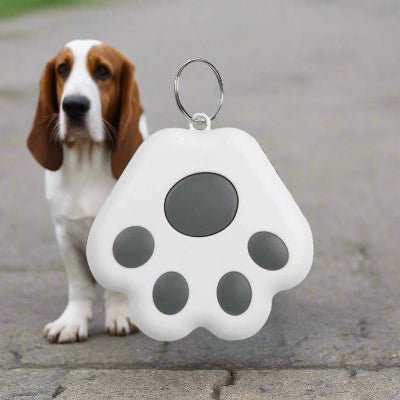Traceur GPS chien | GipiTag™ - Localisez votre chien en temps réel - Chien en balade