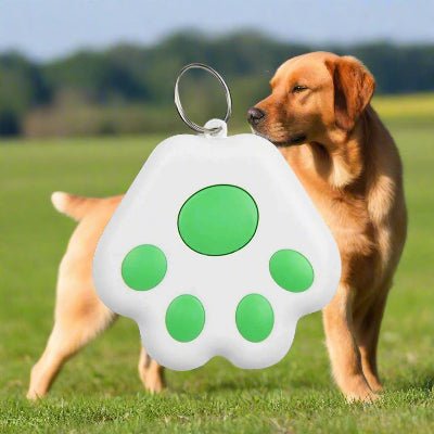 Traceur GPS chien | GipiTag™ - Localisez votre chien en temps réel - Chien en balade