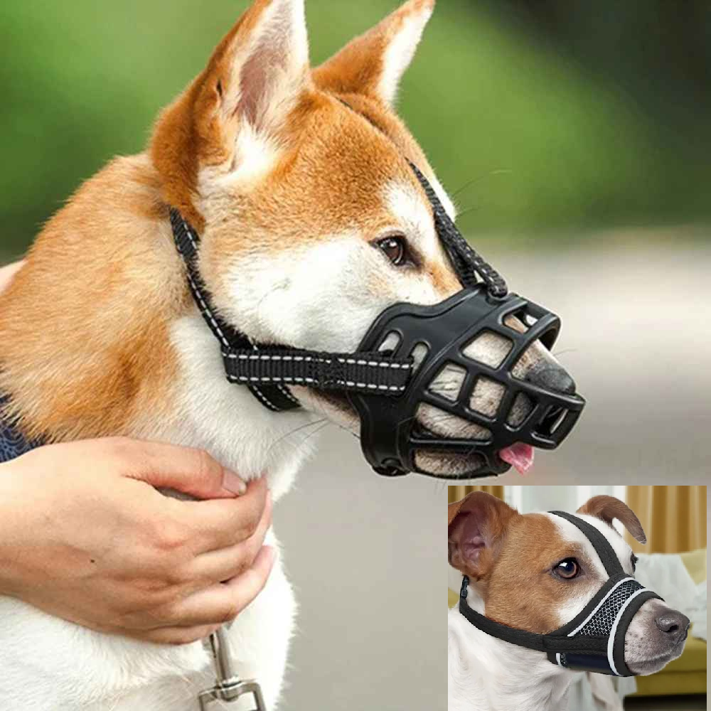 Muselière chien : tissu ou muselière panier