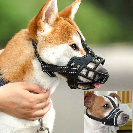 Muselière chien : tissu ou muselière panier