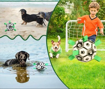 Ballon pour chien jeux variés| Chien en balade