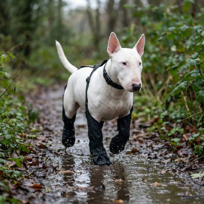 Bottes pour chien | Brettelles Imperméables