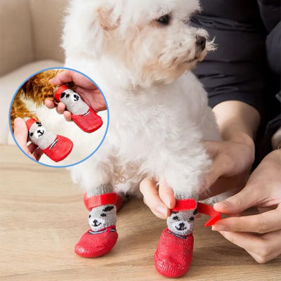 Chaussure pour Chien | Little Bear a velcro