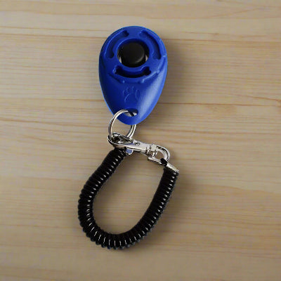 Clicker-entrainement-chien-bleu-Chien en balade