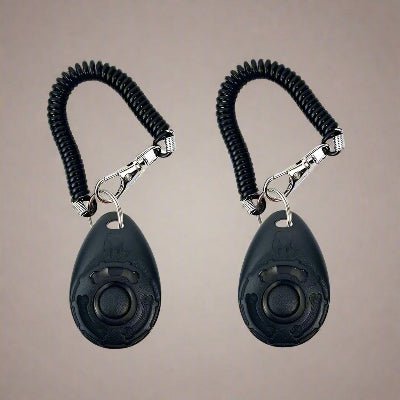 clicker d'entrainement pour chien  duo noir- Chien en balade