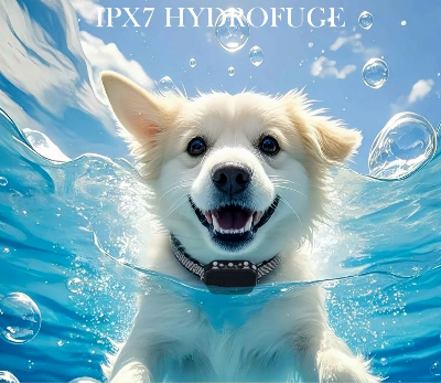 collier anti aboiement  chien Obeissance hydrofuge