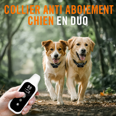 collier anti aboiement chien Obeissance en duo