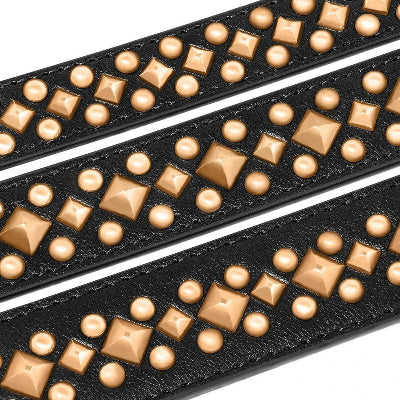 Collier cuir chien | Élégance pointes metal- Chien en balade