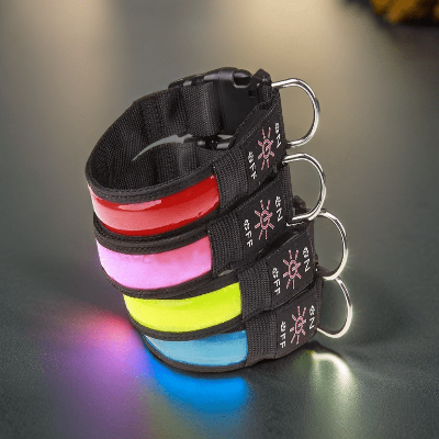 Collier lumineux pour chien Lumy  5 couleurs- Chien en balade