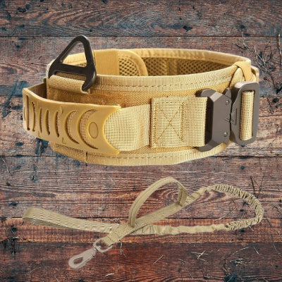 Duo-Collier-chien-militaire-laisse-beige-Chien en balade