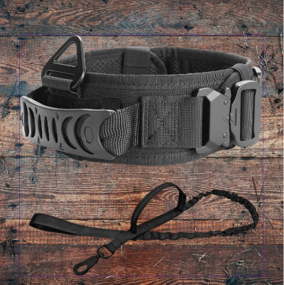 Duo-Collier-chien-militaire-laisse-gris-Chien en balade