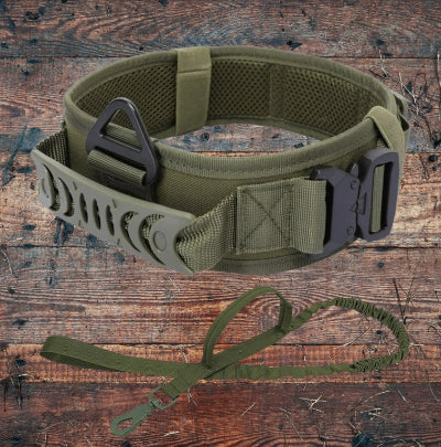 Duo-Collier-chien-militaire-laisse-kaki-chien en balade