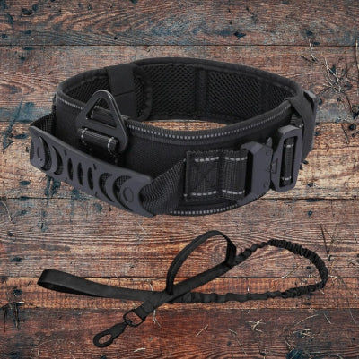 Duo-collier-chien-militaire-laisse-noir-chien en balade