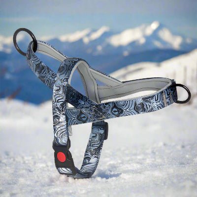 Harnais anti traction chien - DogSafeHarness™ bleu