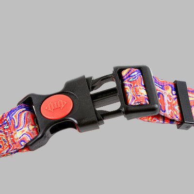 Harnais anti traction chien DogSafeHarness™ détachement rapide