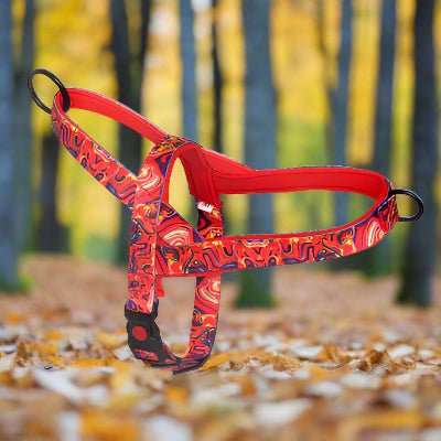 Harnais anti traction chien - DogSafeHarness™ rouge
