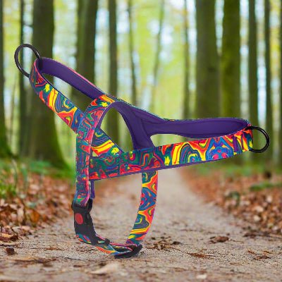 Harnais anti traction chien- DogSafeHarness™ violet