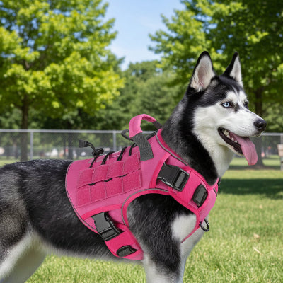 Harnais militaire chien | Sécur'Balade