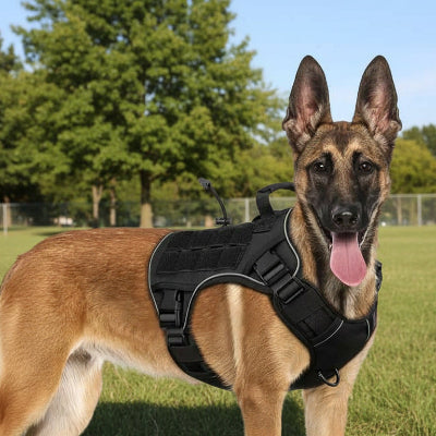 Harnais militaire chien | Sécur'Balade