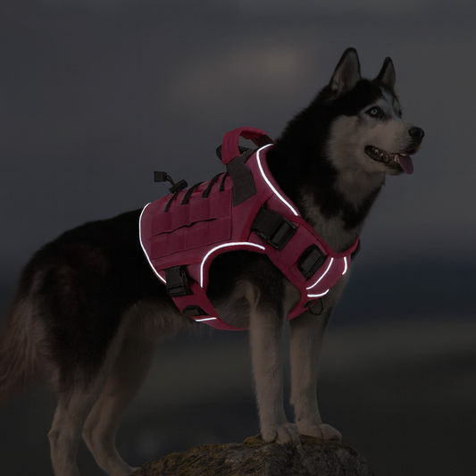 Harnais militaire chien | Sécur'Balade