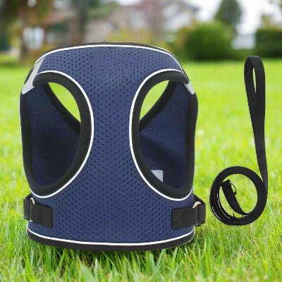 Harnais petit chien bleu