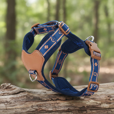 Harnais pour chien imprimé Bleu