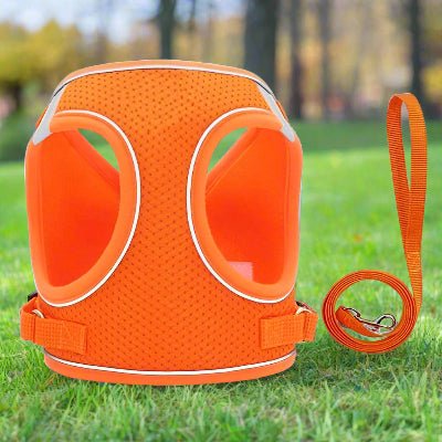 Harnais petit chien Réfléchissant Respirant - Orange