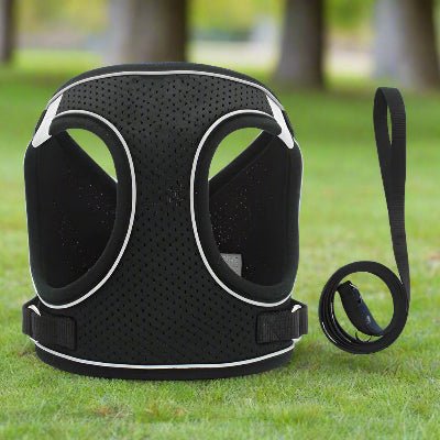 Harnais petit chien  Réfléchissant Respirant -Noir