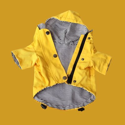 Impermeable pour chien matelot- Chien en balade