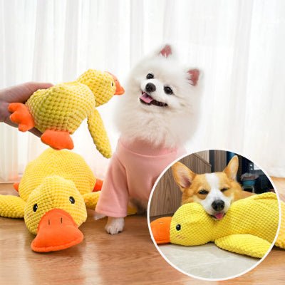 jouet pour chien | Peluche Kouak™ -  chien heureux 