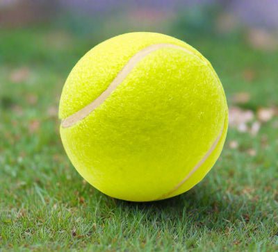 Jouet pour chien | Balle de tennis 5cm - Chien en balade