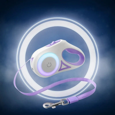 Laisse pour chien | Enrouleur AutoM LED™ -violet- Chien en balade