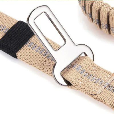 Laisse pour chien indestructible avec anneau de sécurité auto