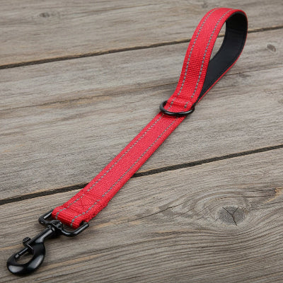 Liasse p9ur chien indestructible Rouge