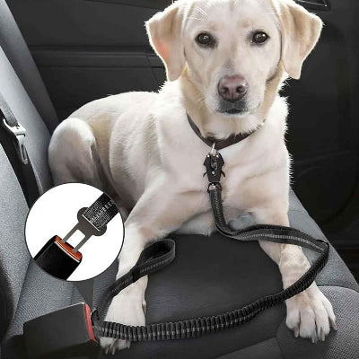 Laisse pour chien indestrcutible avec boucle de sécurité auto