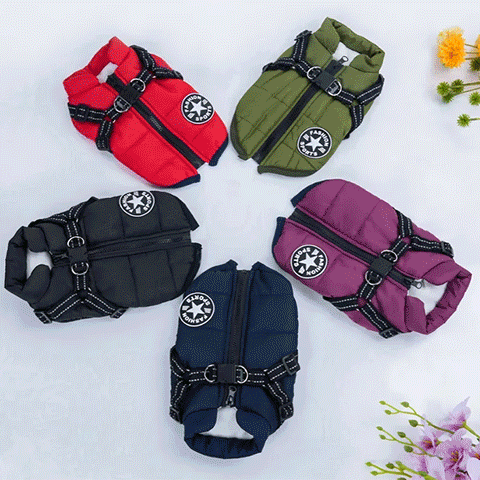 Manteau Chien | Harnais intégré Confortable