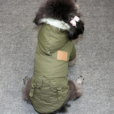 Manteau-capuche-hiver-chien-petit-kaki-chien en balade