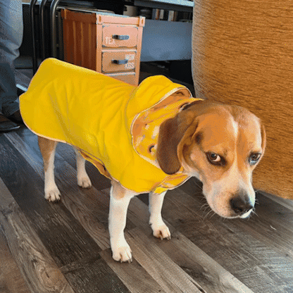 Imperméable chien | NoWet™ Chaud et Élégant