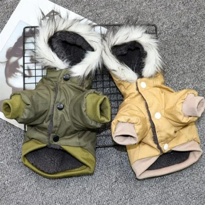 Manteau chien  | A capuche Hivo™Chien en balade