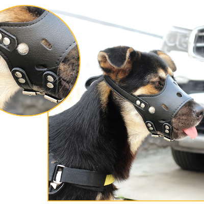 Muselière chien Taille XS a M