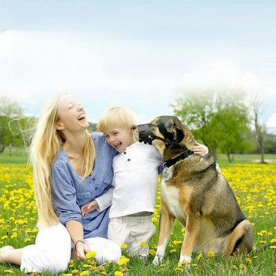 Muselière chien Anti morsure sécuritaire