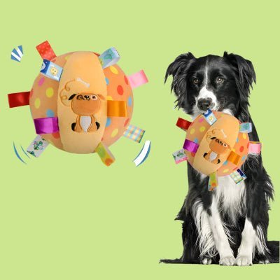 balle pour chien| interactive Inter-Balle sonore| Inter - Balle™ - Chien en balade