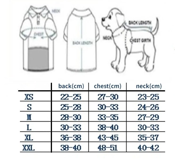 Blouson cuir pour chien - Chien en balade