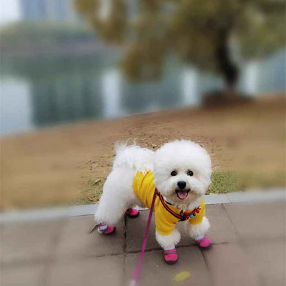 Bottes chien | Facile à enfiler - Chien en balade