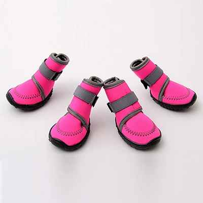 Bottes chien | Facile à enfiler - Chien en balade