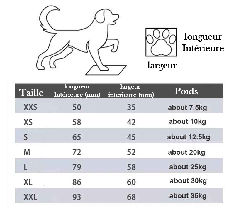 Bottes chien | Facile à enfiler - Chien en balade