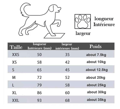 Bottes chien | Facile à enfiler - Chien en balade